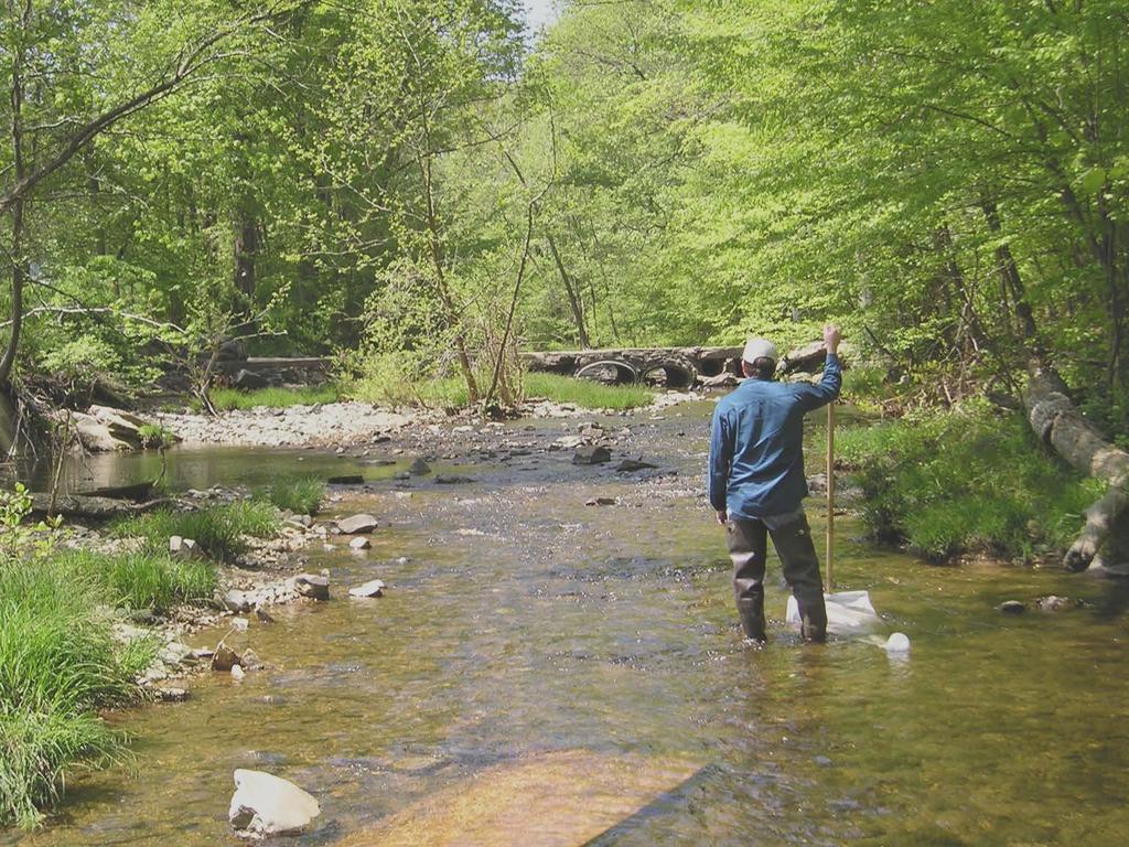 Anadromous fish stream spawning surveys