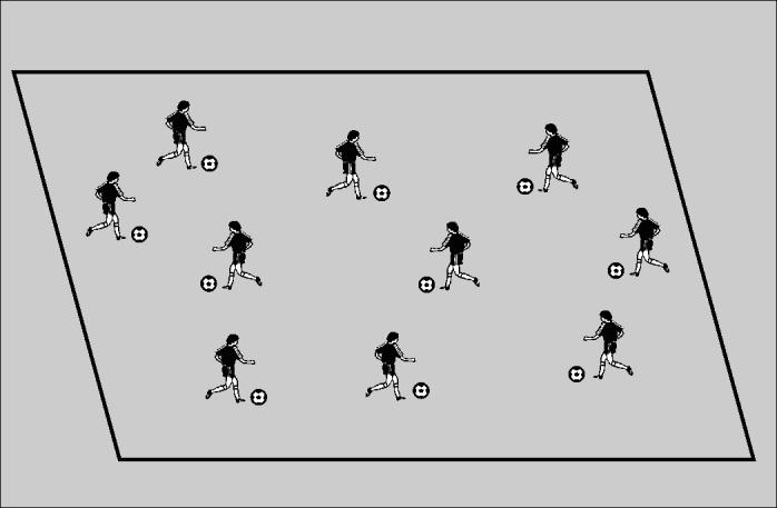 3.1 Speed Moves Session 3 ~ Dribbling & Turning The players each have a ball and dribble throughout a 25 x 25 yard grid. The coach will call out a move i.e. scissors, inside hook, outside hook, double scissors etc.