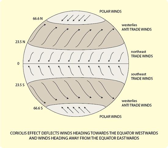 Below is a diagram showing the global wind patterns