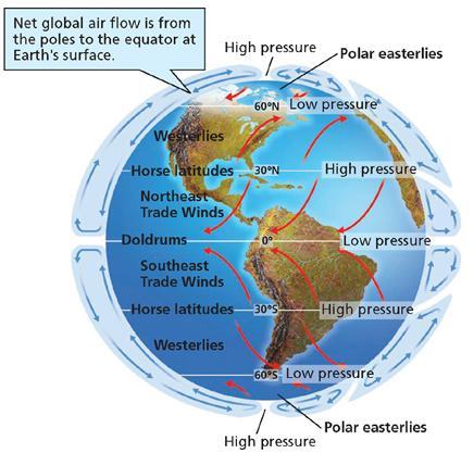Global Winds, continued The diagram