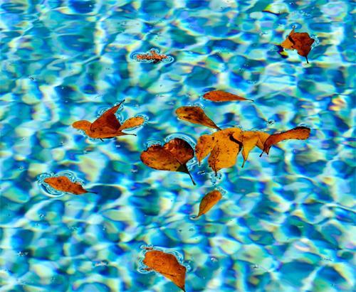 #4 - The pool should always be clean and the water properly balanced. However, this may not always be possible, so it s important to clean your pool both before and after use. body and clothes.