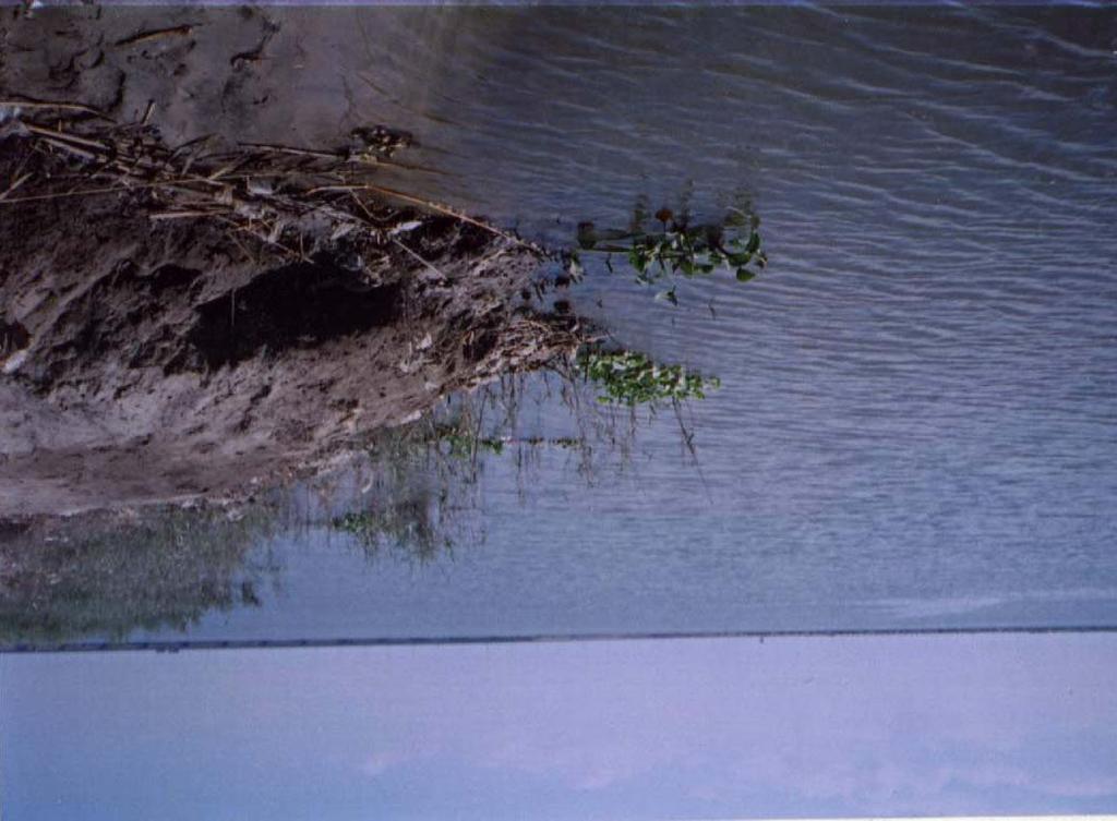 2-Lake Edku This coastal lagoon is a basin for agricultural drains and domestic wastes.