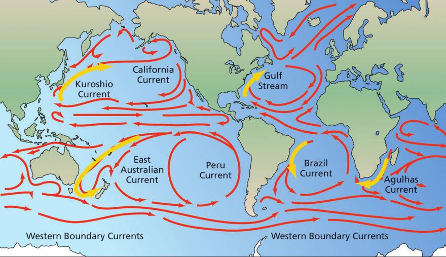 Chapter 5 Winds, Oceans, Weather, and Climate Digging Deeper Geo Words ocean current: a predominantly horizontal movement of ocean water.