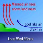 Local winds- generally move short