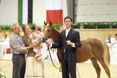 Foal Owner: Di Grazia