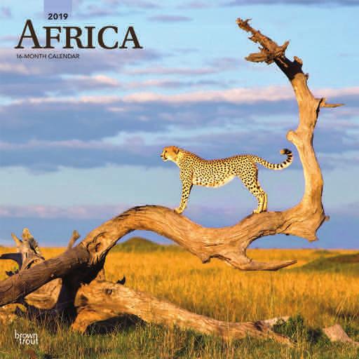Travel 30.5 x 30.5cm africa Suggested Retail: 9.