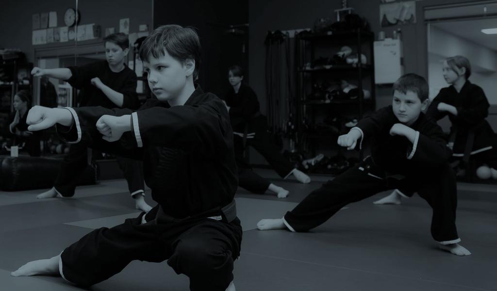 CLASS OPTIONS BEGINNER/LITTLE DRAGONS AGES 3-5, 6-7 Our Dragons classes are the starting point for our martial arts program and focus on introducing children to the basic concepts of martial arts.