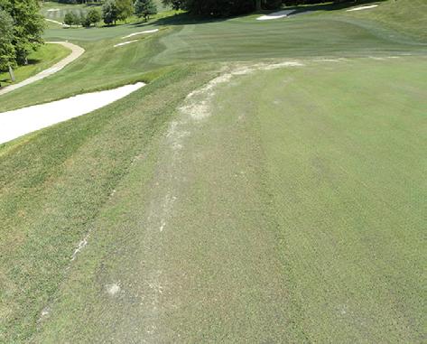 areas of brown turf should be a sign of good turf management, not bad management.