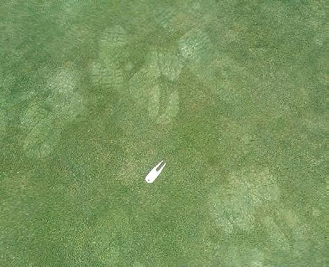 low when it s hot, are predisposed to outbreaks of anthracnose/summer patch/bacteria and general turf loss issues. Bentgrass, when cut under hot and dry wilt stress, also can develop anthracnose.
