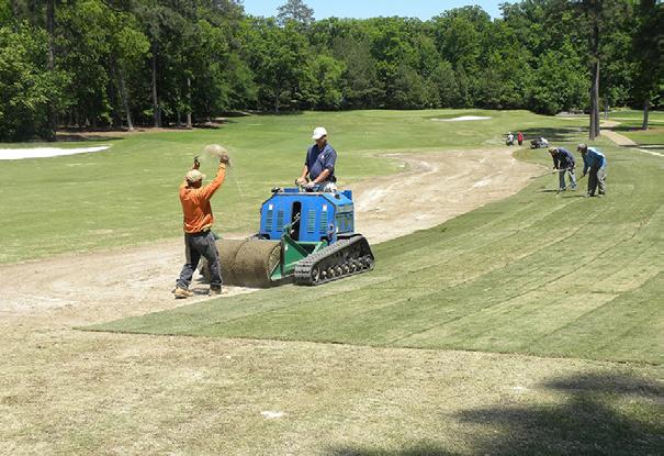 Turfgrass winterkill is another problem over which the superintendent has little control. In some cases, resodding may be the best option to restore playing conditions.