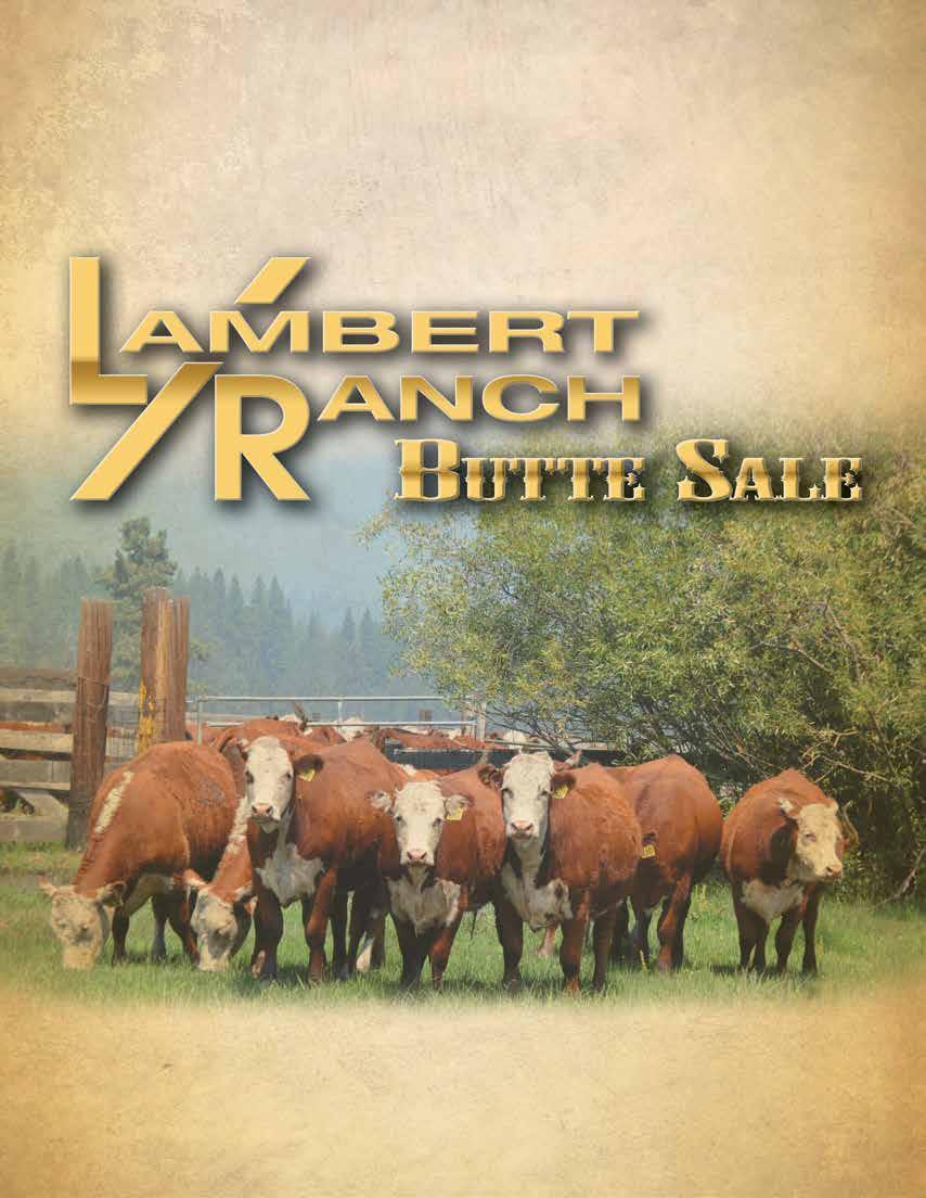 Lambert Ranch 3159