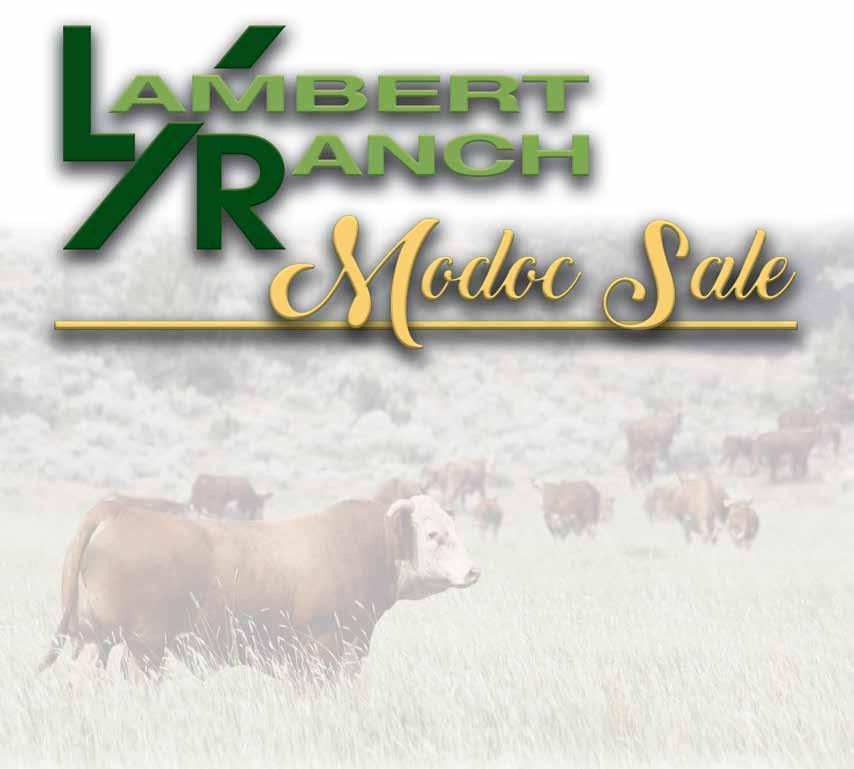 Lambert Ranch 3159