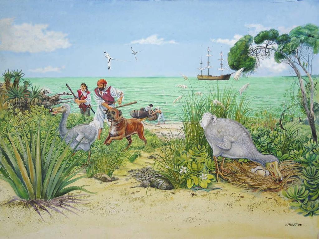 Soon more people came on boats with dogs and rats. The dodos did not run away from them.