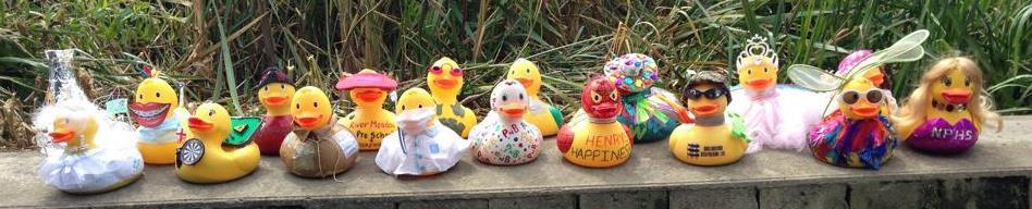 Introduction Thank you for entering the Newport Pagnell Carnival Big Duck Race.