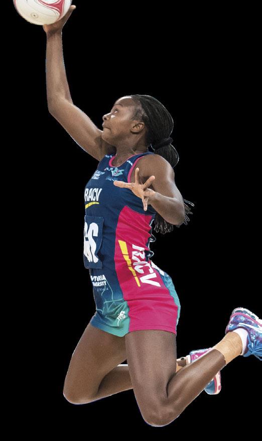NEW IN 2018 FLEXI FULL COURT MEMBERSHIP FLEXI SHORT PASS 7 HOME GAMES SILVER/BRONZE AREA SEATING* 3 HOME