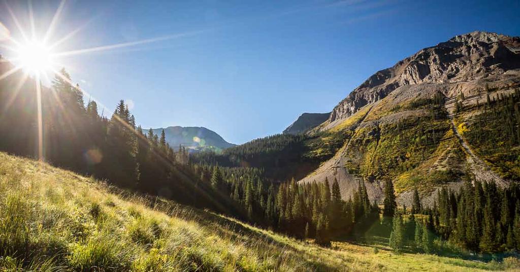 Rays of warm Colorado sunshine highlight the changing colors on Sheep Mountain.