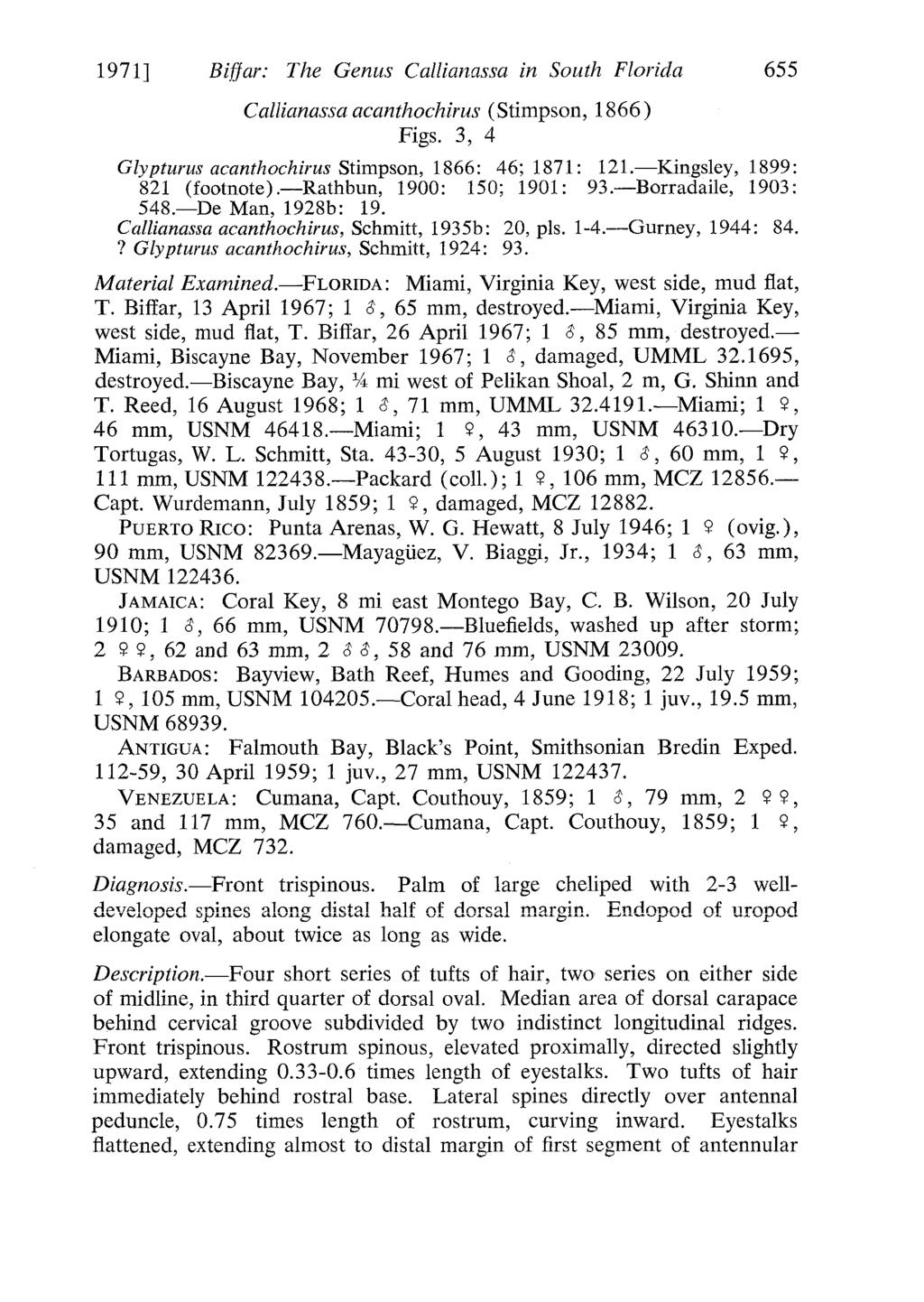 1971] Biffar: The Genus Callianassa in South Florida 655 Callianassa acanthochirus (Stimpson, 1866) Figs. 3, 4 Glypturus acanthomrus Stimpson, 1866: 46; 1871: 121. Kingsley, 1899: 821 (footnote).