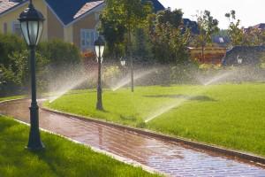 BASIC IRRIGATION DESIGN PRINCIPLES This class will teach you the basic understanding of properly designing, installing and maintaining an irrigation system.
