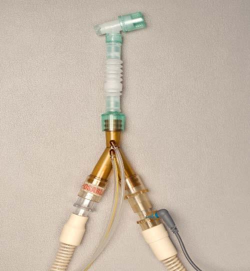 Expiratory limb, water trap, expiration valve, sensor lines, wye 8.