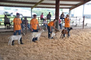 Goat Show Wednesday, July 11, 2018 Superintendent: Rusty Burns Registration 7:30 a.m. 8:30a.m. Show Starts at 9:00 a.m Rules: 1.