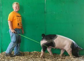 Swine Show Thursday, July 12, 2018 Superintendents: Cody Brock Registration 7:30 a.m. 8:30 a.m. Show starts at 9:00 a.m. Rules and Regulations: 1.