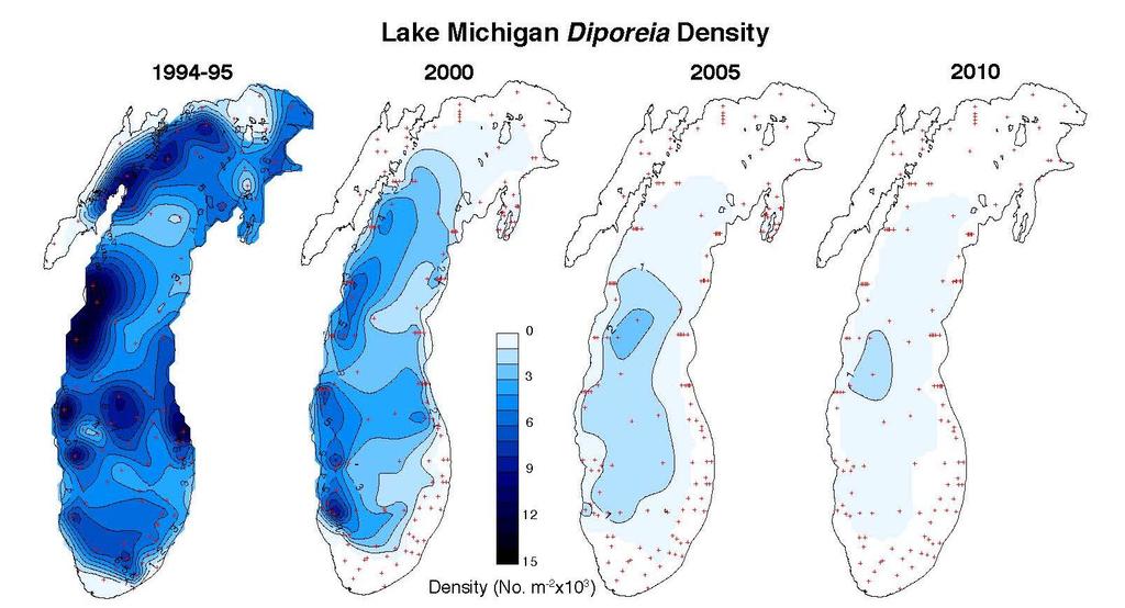 Juicy Diporeia are nearly gone Carpet the bottom of Lake Michigan Diporeia (amphipod) 1995 2000