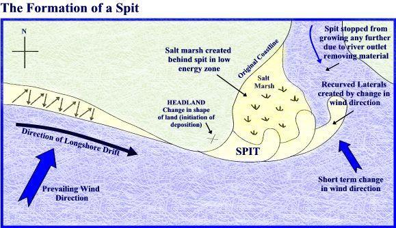 Spits are formed in areas of relatively shallow and sheltered water where there is a change in the direction of the coastline.
