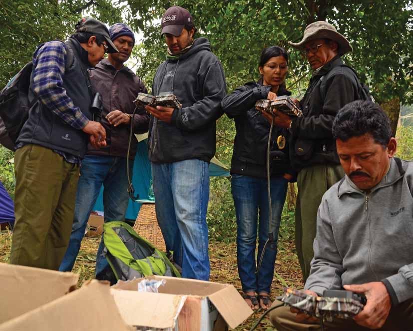 lead story Tracking Tigers in the Terai Arc Sabita Malla Senior Research Officer, TAL the tiger is more than just a large charismatic carnivore found in asia.