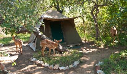 The unfenced camps located in prime wilderness areas creates an experience where people can truly reconnect