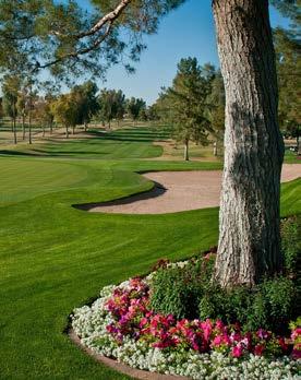 The Classic Golf Course Mesa Country Club was created in 1948 by legendary golf course architect William Billy Bell.