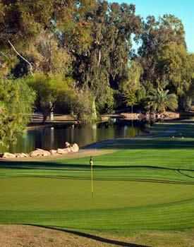 renowned original design of Papago. The 70-year history of Mesa Country Club is evidenced by the stunning, mature trees that line every fairway.