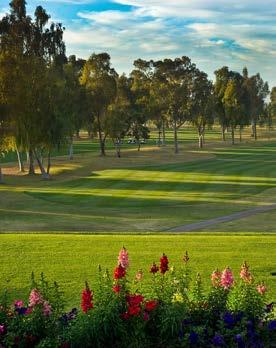 Easily accessible from the 101, 202 Red Mountain portion or US60, Mesa Country Club is perhaps the most conveniently located private club in town.