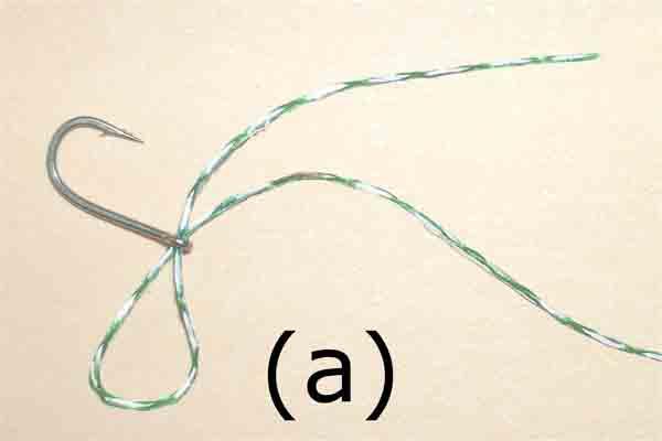 Knots The best knot to use for the hook and swivel is the PALOMAR knot - suitable for both braid and