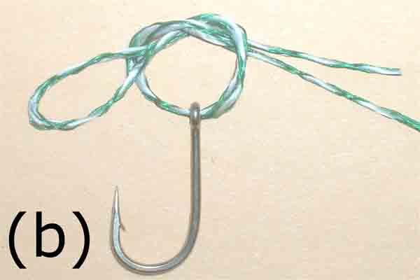 The Palomar knot (a)take a length of braid or monofilament, thread it through the eye of the hook and then