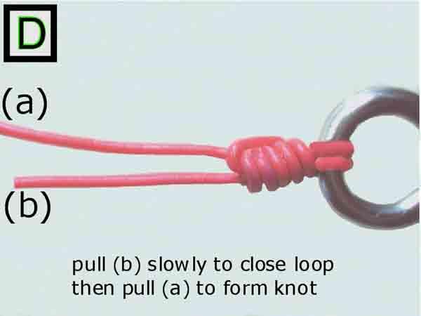 Make a loop with tag end (b) and hold next to line (a). C.