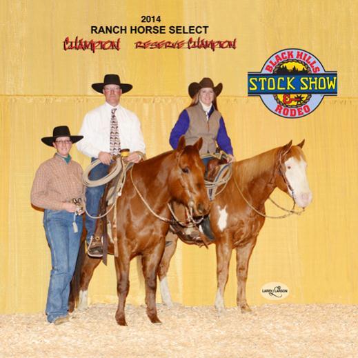 Purchased by Gary Nagel, Strasburg, ND Ranch Horse Select Geldings averaged $7,700.