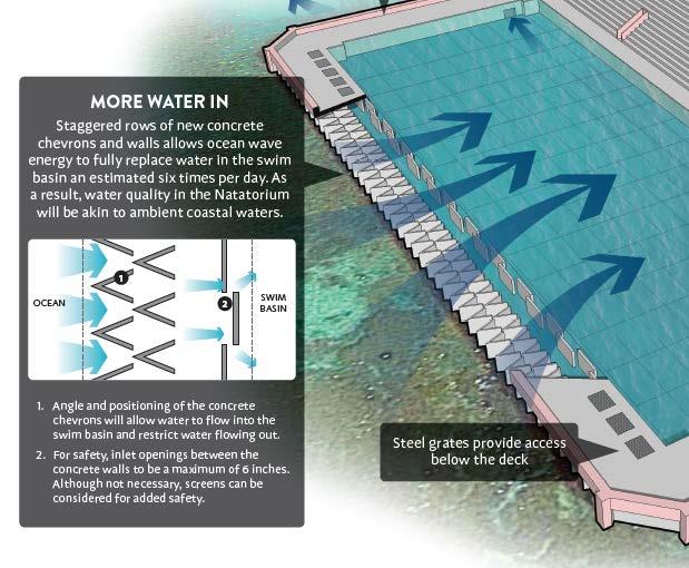 Rehabilitation Proposal The Rehabilitation alternative would replace the Natatorium swim basin s makai seawall with individual chevron units topped with decking.