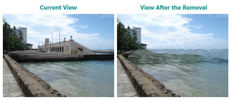 OPTION 2: Demolition/No Construction (Return to the Natural Shoreline) Complete demolition and removal of all