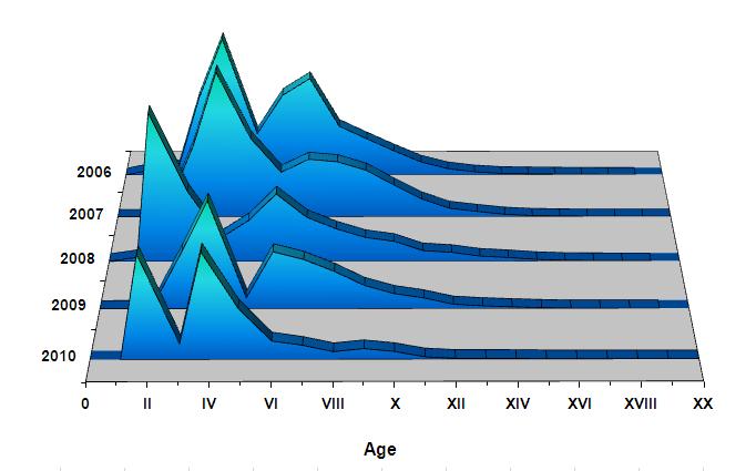 Figure 7: Age structure of jack mackerel, total catch in numbers, 2006-2010. Source: IFOP. Chub mackerel size composition.