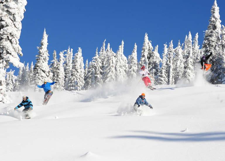 Major summer grooming projects enable runs to be opened