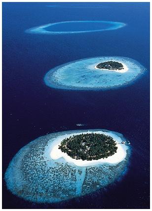 Atoll Fringing Reef Some of the