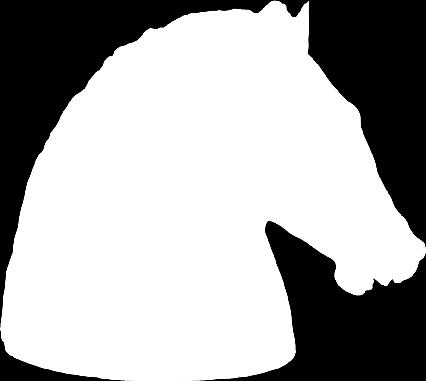 55.8kg 020506RS Horse Head on Base -