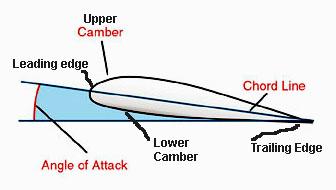 Lower Camber Leading Edge