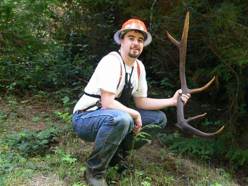 Finding the match to larger antlers seem to be somewhat higher than this 15% figure as the bigger antlers seem to drop closer together.