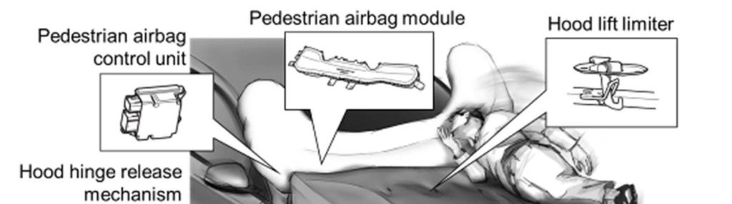 The aim of this study is to present a production airbag technology focusing pedestrian head impacts. A special focus is given to the technical challenges.