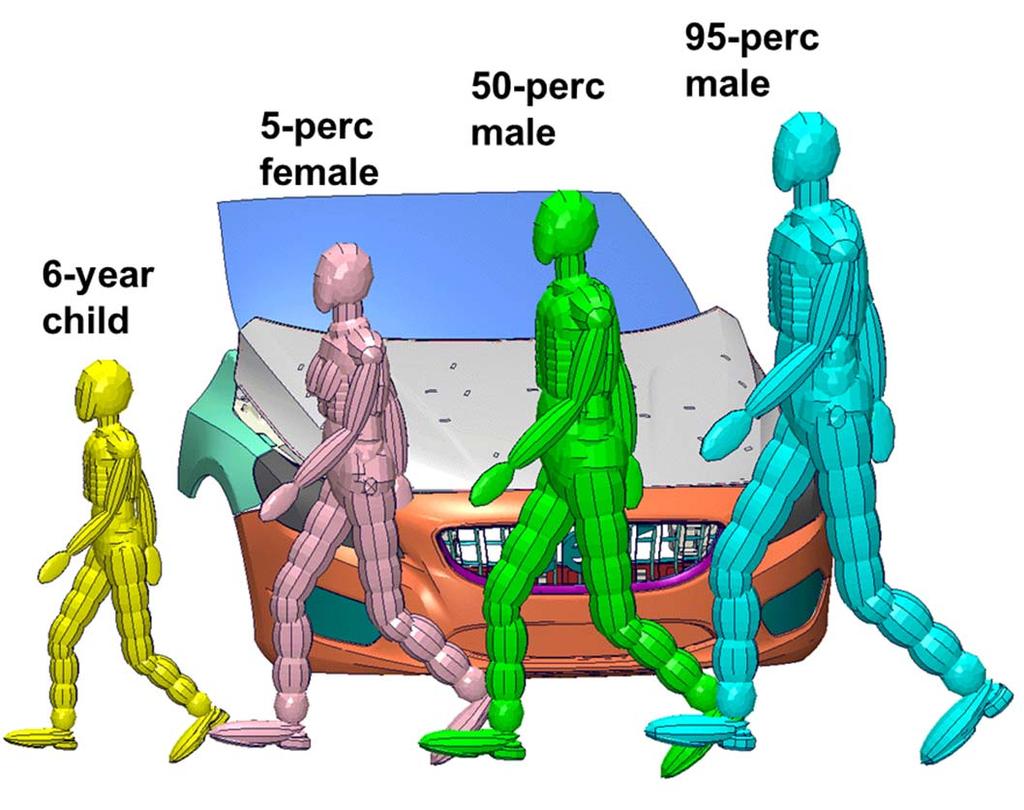CAE, Numerous Computer Aided Engineering (CAE) simulations were run using human FE pedestrian models and a vehicle model of the Volvo V40 using the LS-Dyna software.