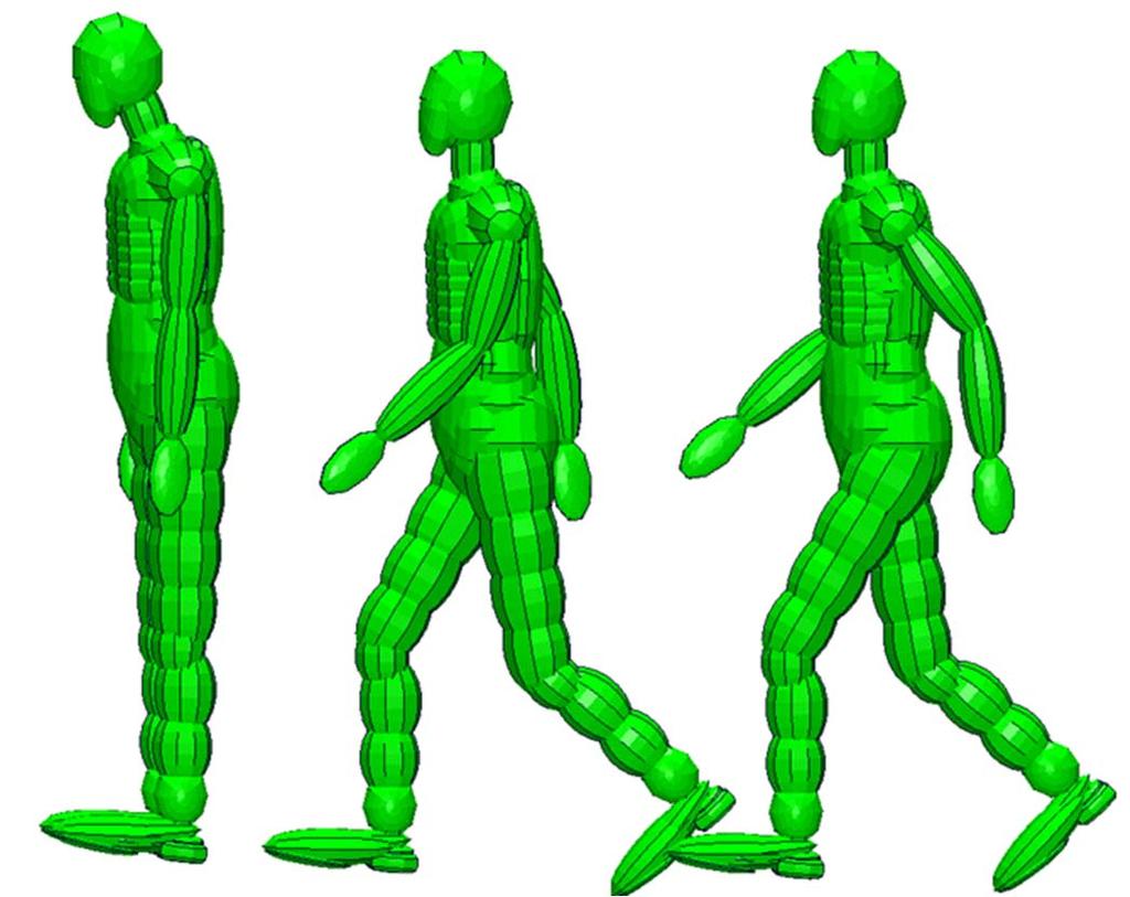 Figure 13. Examples of different evaluated pedestrian stances.