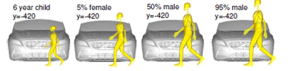 Figures 16 and 17 illustrate two tests with different dummy positions prior to impact. The main purpose was to compare to the human FE pedestrian tests, which showed similar kinematics.