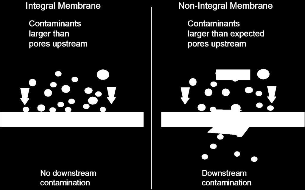 What is Membrane