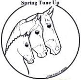 Become a Spring Tune Up Patron!
